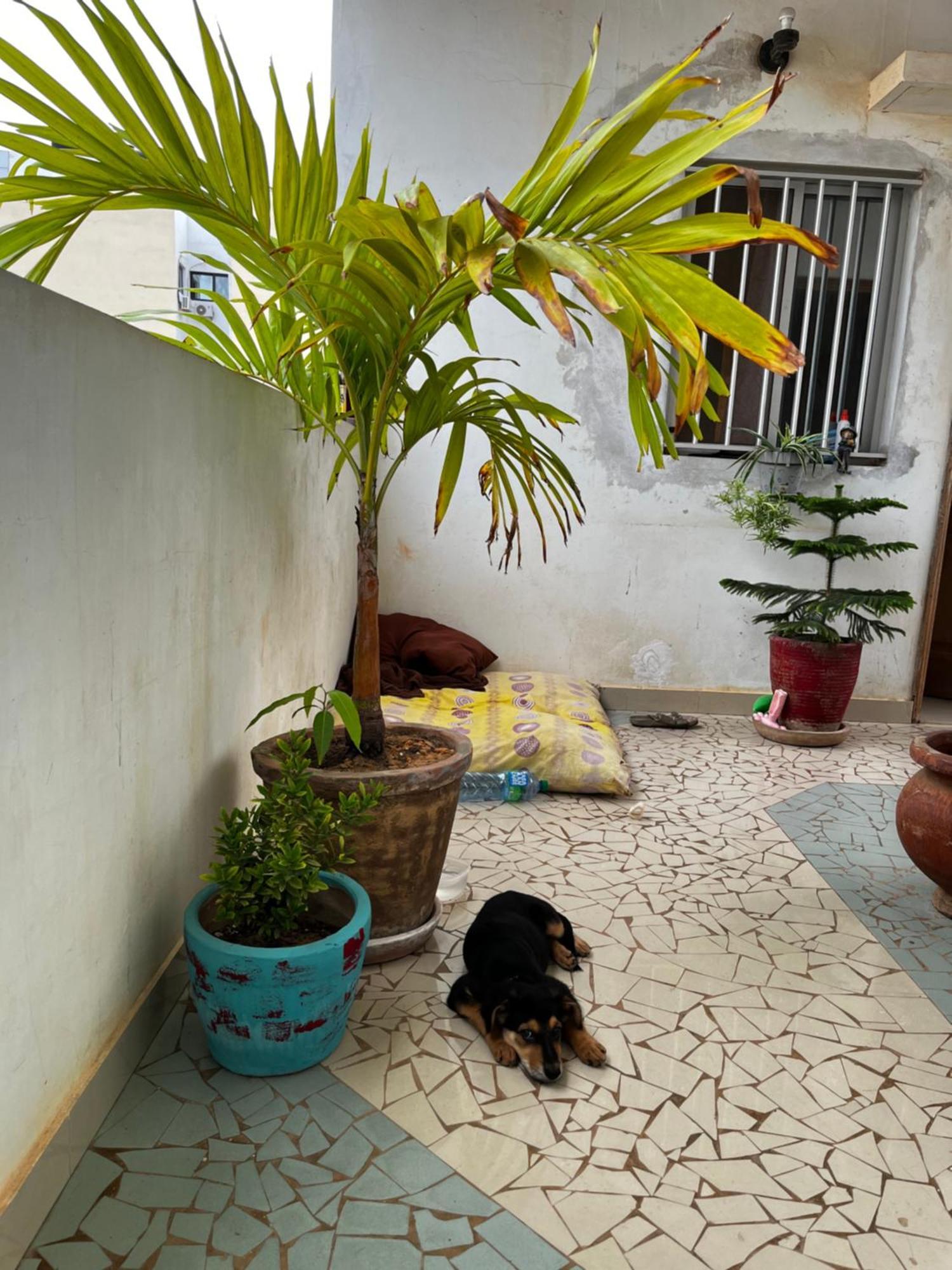 Like At Home Dakar Bagian luar foto